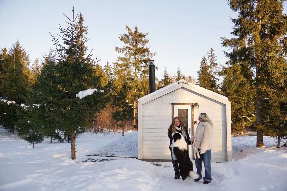 Meža namiņš Upeskrasti House in Latvia