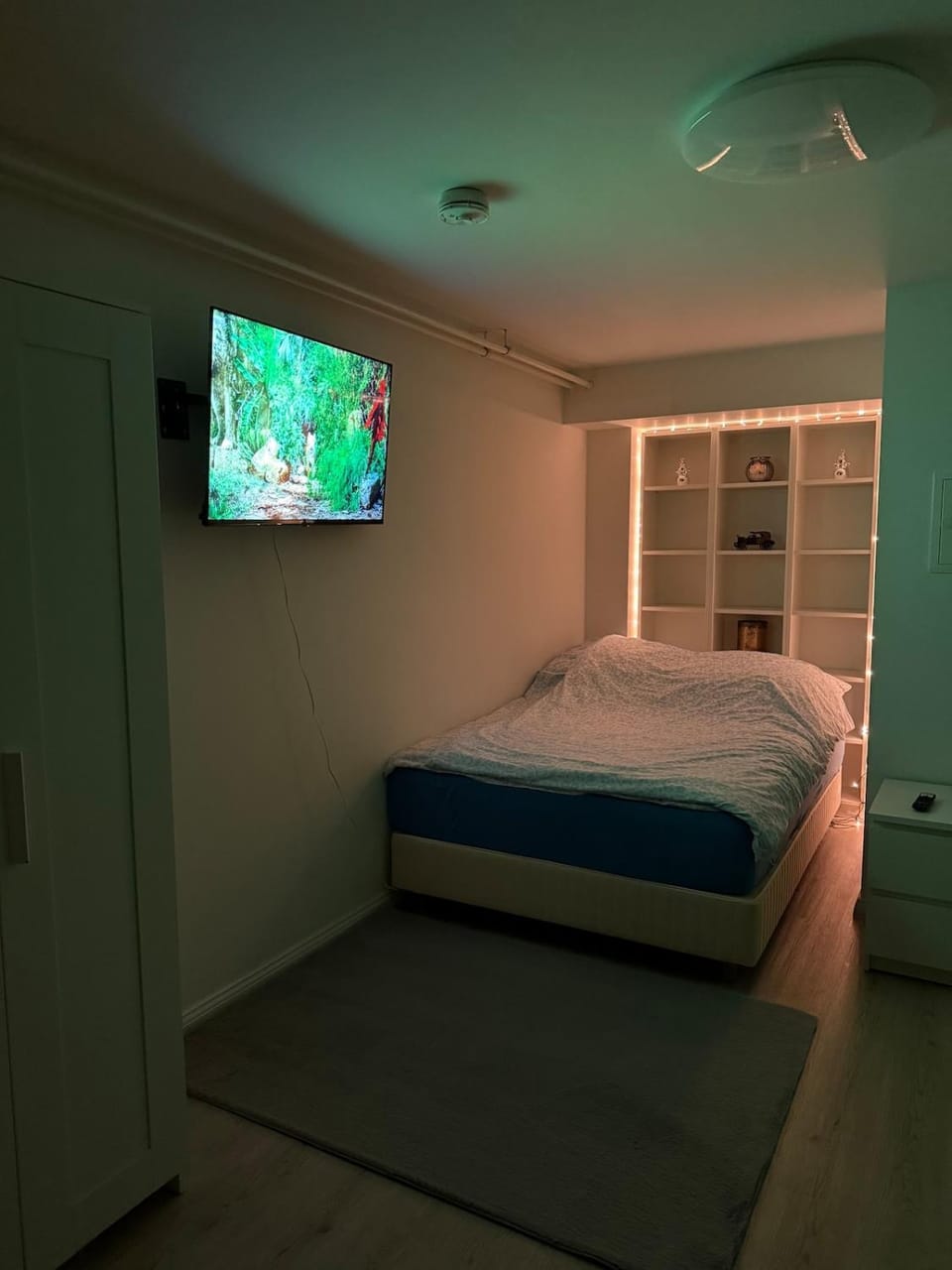 Bed, TV and multimedia, Bedroom