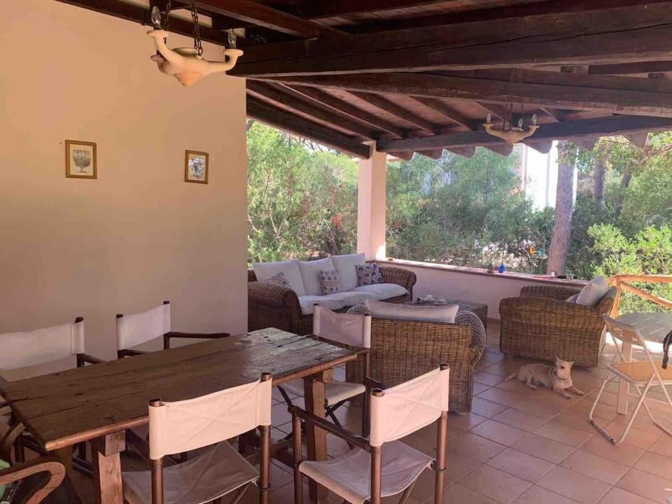 Patio, Dining area