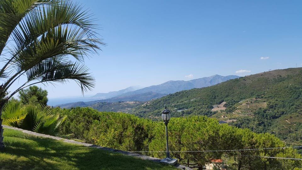 Garden view, Mountain view, Street view