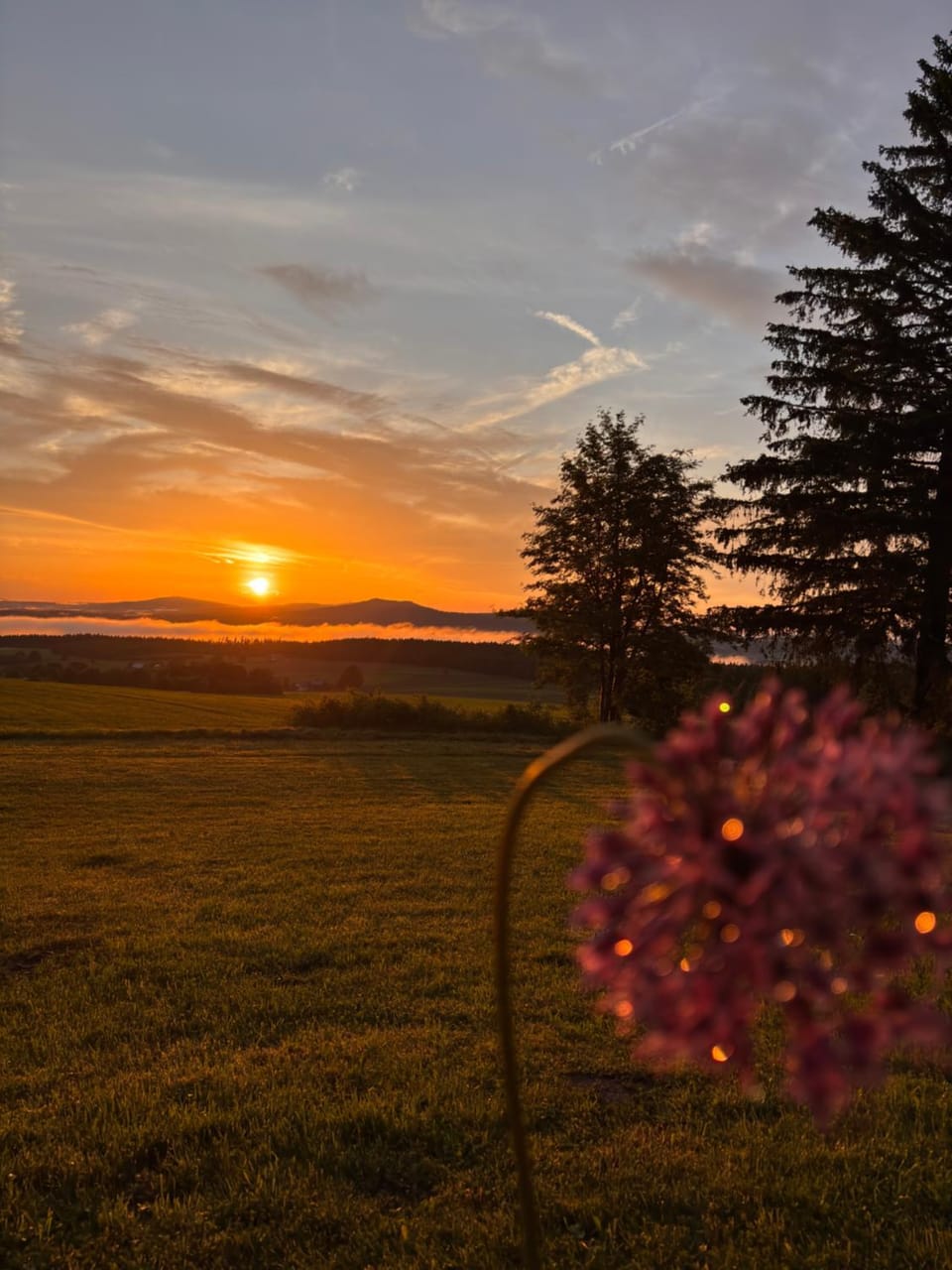 Spring, Natural landscape, Sunset