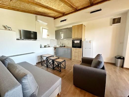 Luxurious attic apartment with a breathtaking view Apartment in Podgorica Municipality, Montenegro