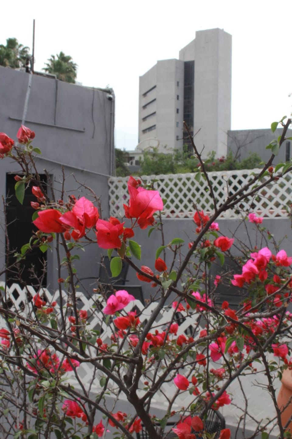 Patio, View (from property/room), Balcony/Terrace, Garden view