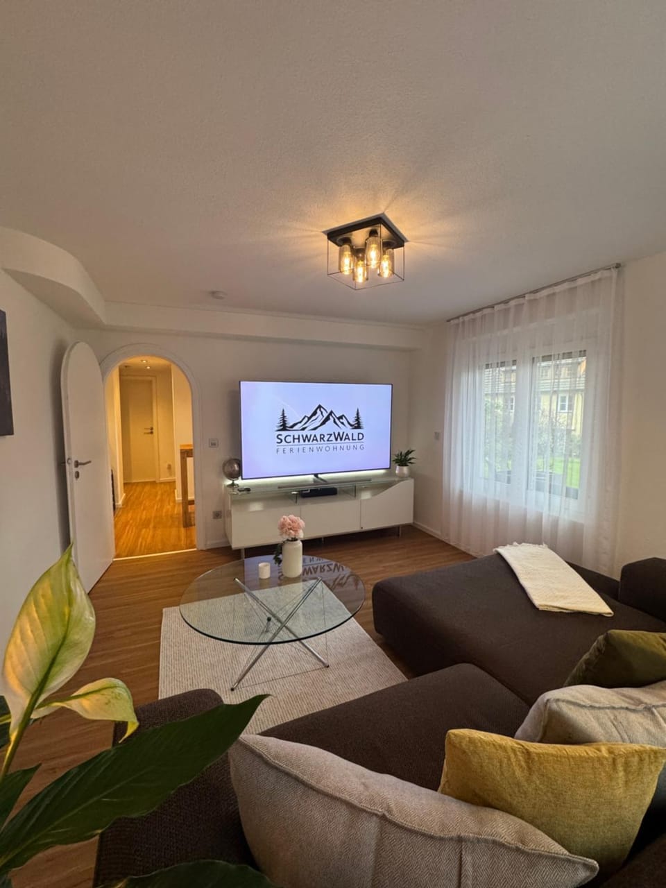 TV and multimedia, Living room