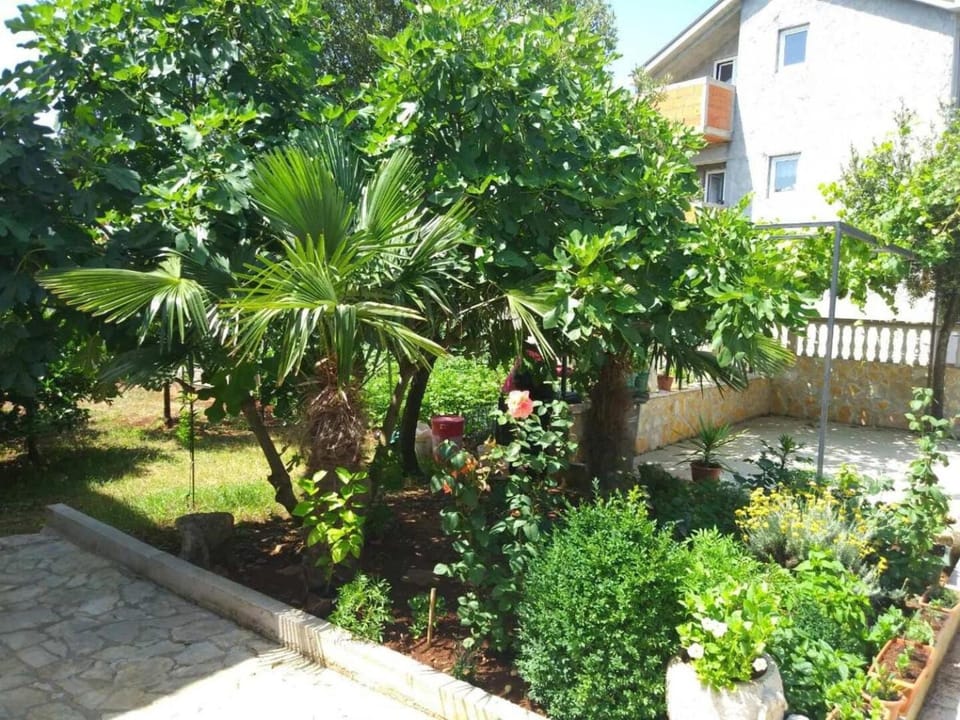 Location, children, Family
