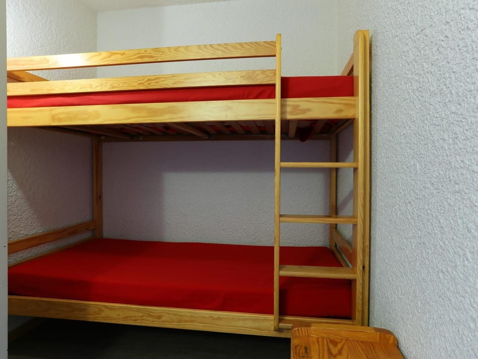 Studio familial animaux admis - 4 pers, au cœur des Deux Alpes - FR-1-811-2 Apartment in Les Deux Alpes