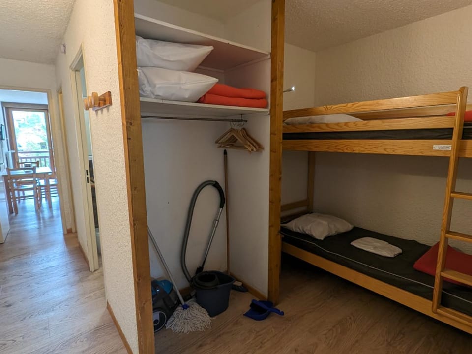 Studio familial au pied des pistes, animaux acceptés - FR-1-811-6 Apartment in Les Deux Alpes