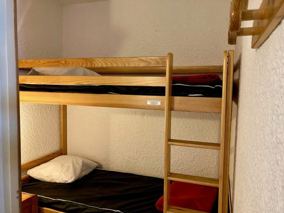 Duplex cosy sous les toits, pied des pistes, animaux admis - FR-1-811-21 Apartment in Les Deux Alpes