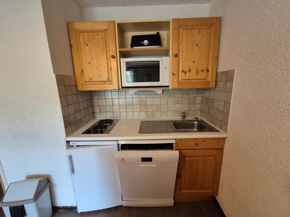 Studio fonctionnel avec balcon, animaux admis - FR-1-811-25 Apartment in Les Deux Alpes
