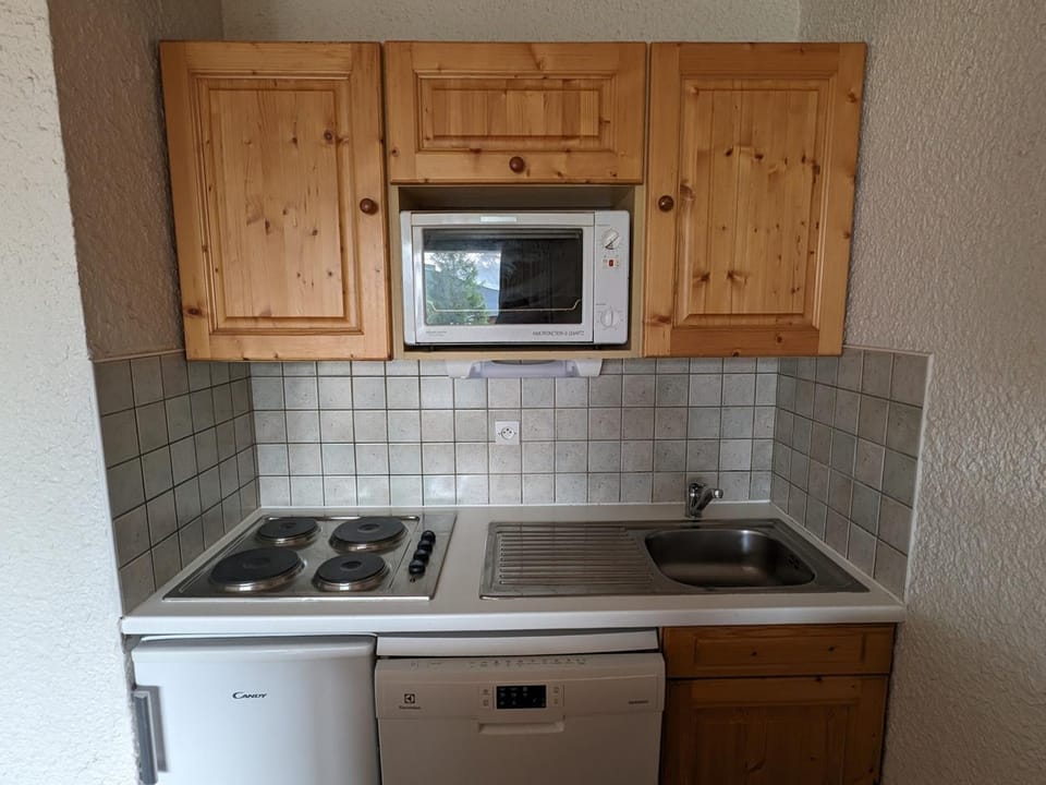 Studio familial, animaux admis, au pied des pistes - FR-1-811-16 Apartment in Les Deux Alpes