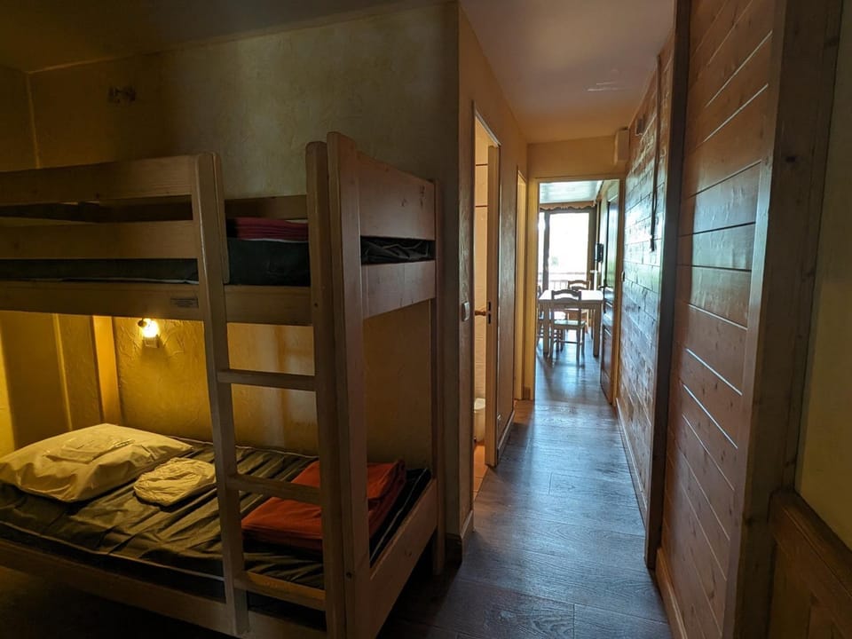 Appartement lumineux 6 pers, au pied des pistes, centre station, animaux admis - FR-1-811-34 Apartment in Les Deux Alpes