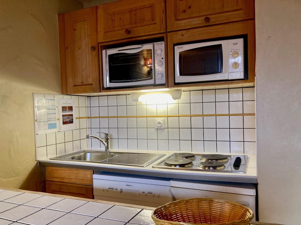 Duplex sous les toits, pied des pistes, animaux admis - FR-1-811-37 Apartment in Les Deux Alpes