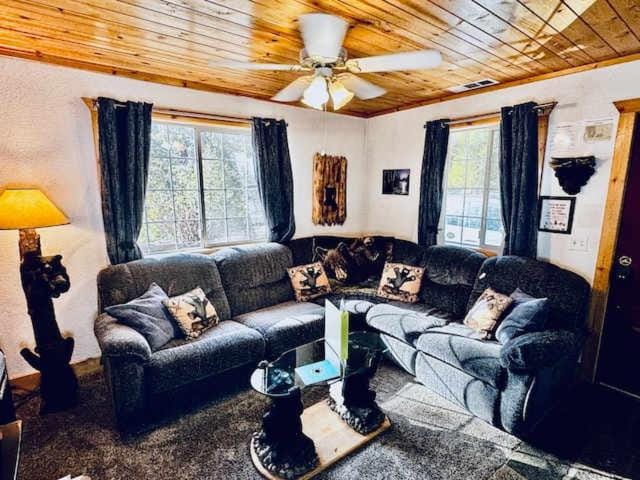 Stay in Yosemite-Cozy Bear North-Sleeps 5 House in Yosemite Park Way