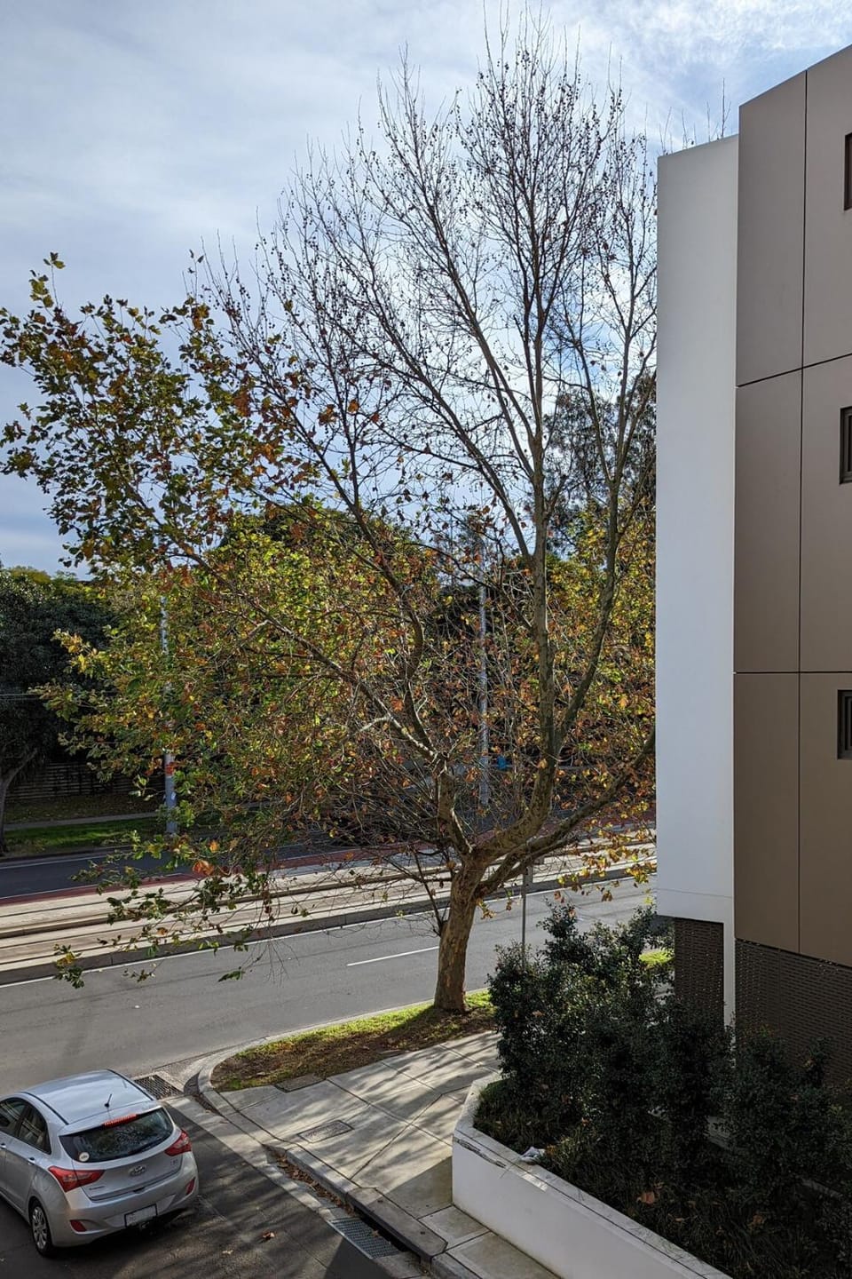 Close to Light Rail UNSW Centennial Park Beach Free Parking Apartment in Kensington