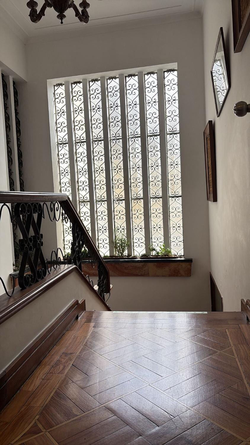 Collector's Home Bed and Breakfast in Braga