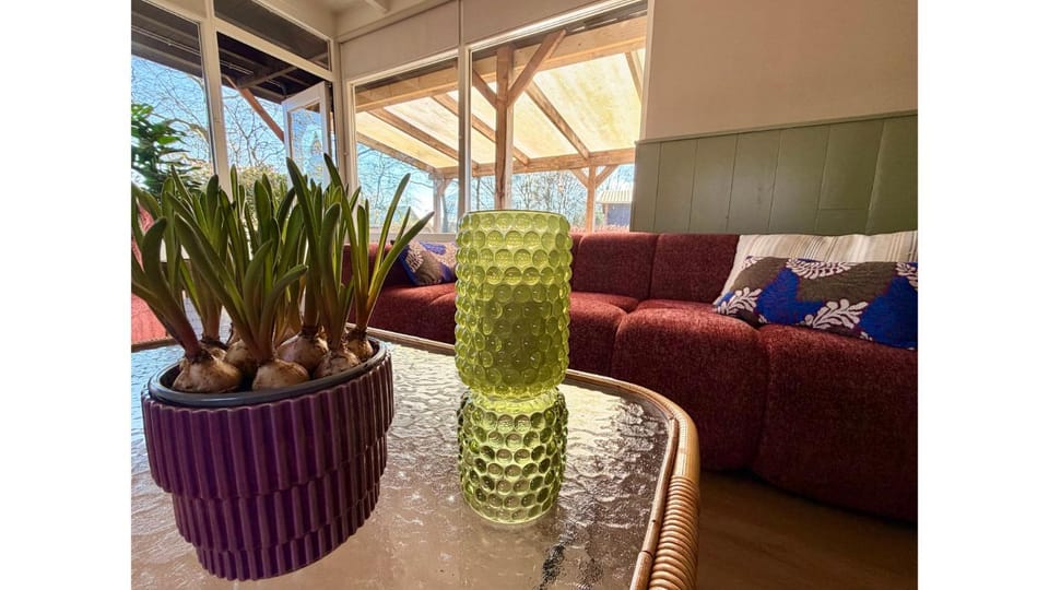 Bungalow Doris with Hot Tub | 4 persons House in Drenthe (province)