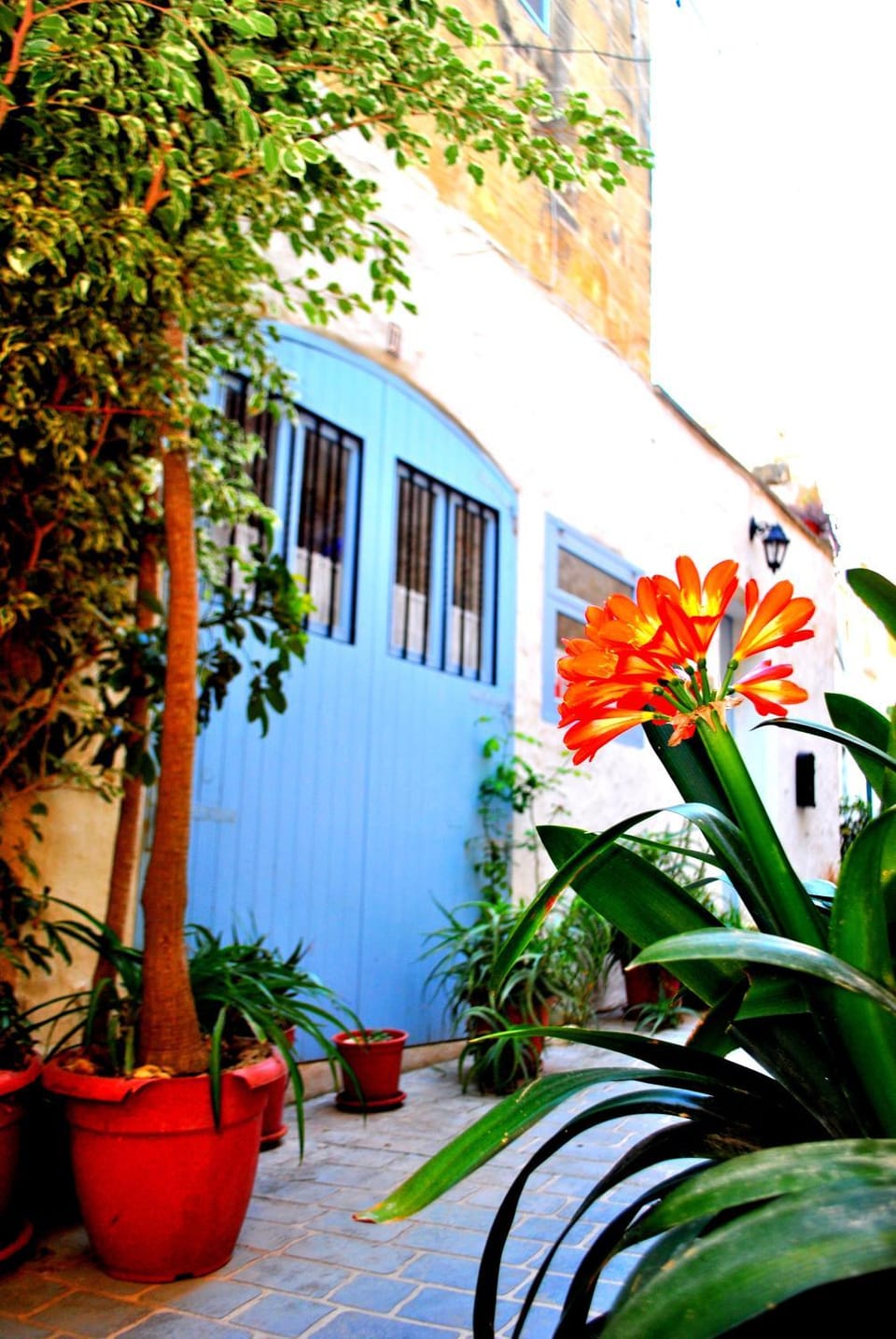Facade/entrance, Neighbourhood