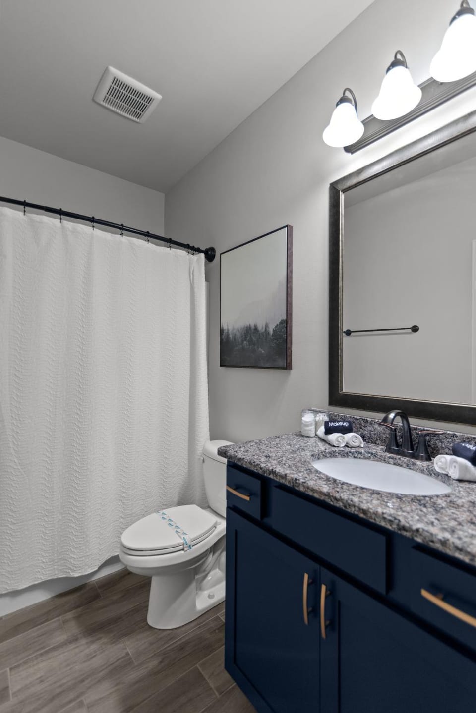 Toilet, Bathroom, Bath