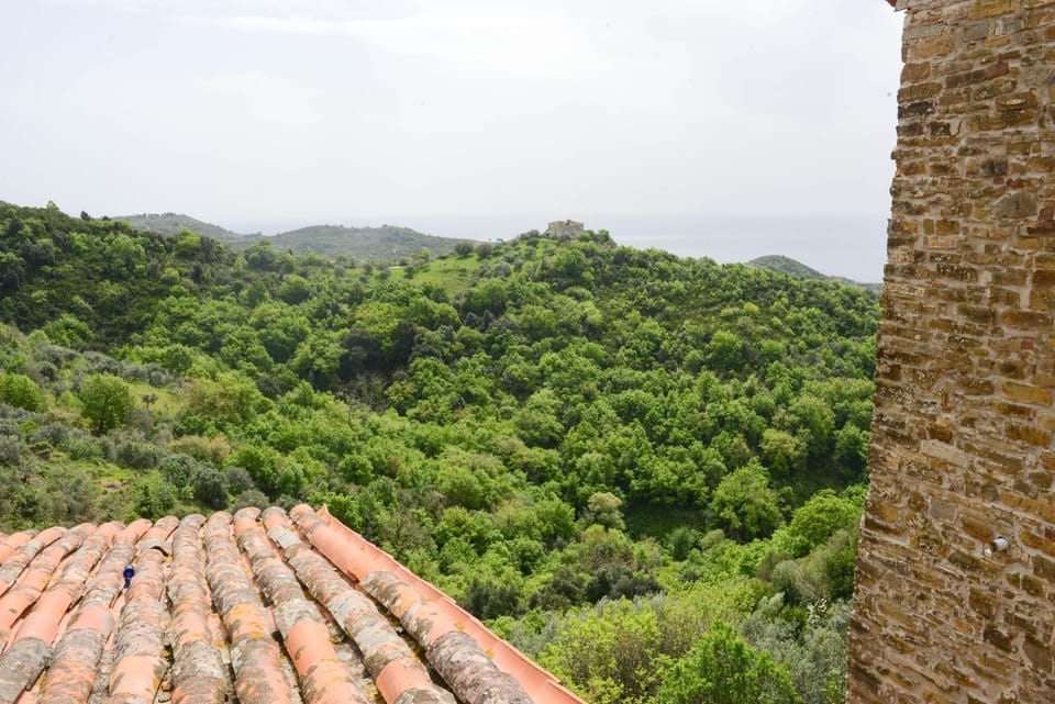 Neighbourhood, Natural landscape