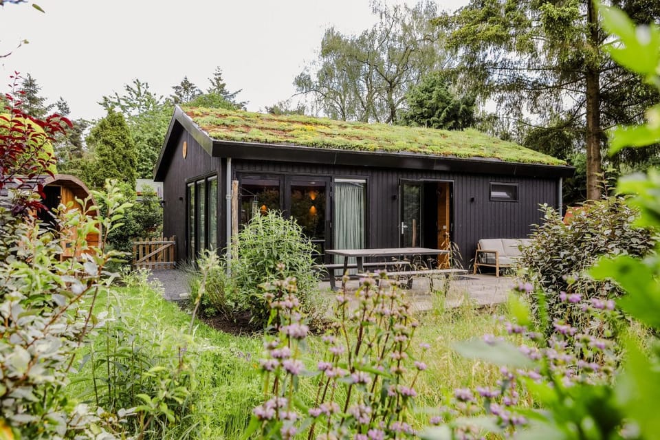 Property building, Garden, Sauna, Garden view