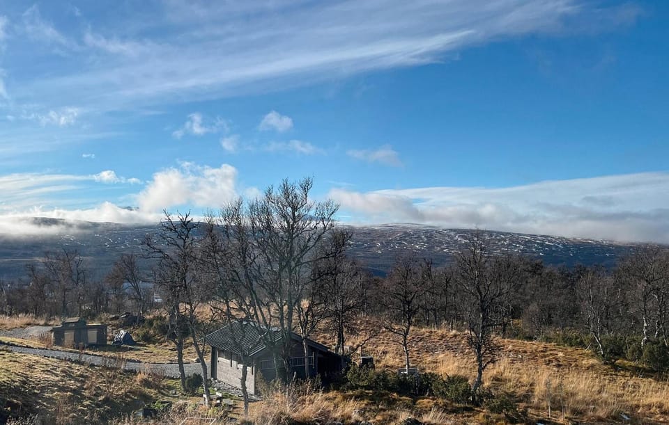 View (from property/room)