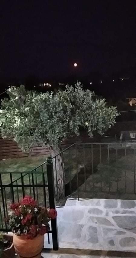 Balcony/Terrace, Internal: Not applicable to any particular room