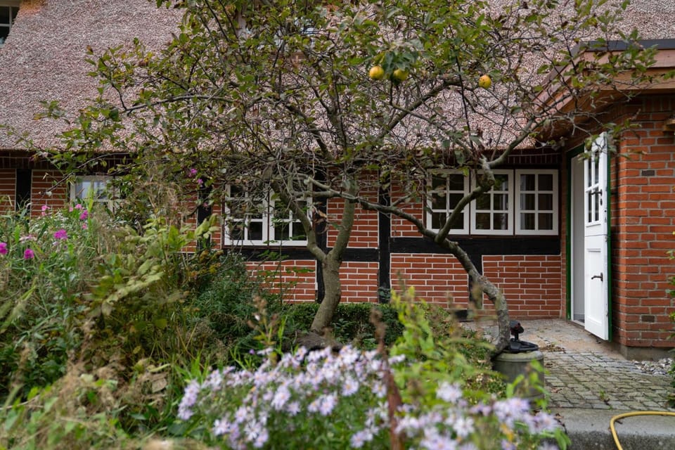 Christines Kate Apartment in Schleswig-Holstein