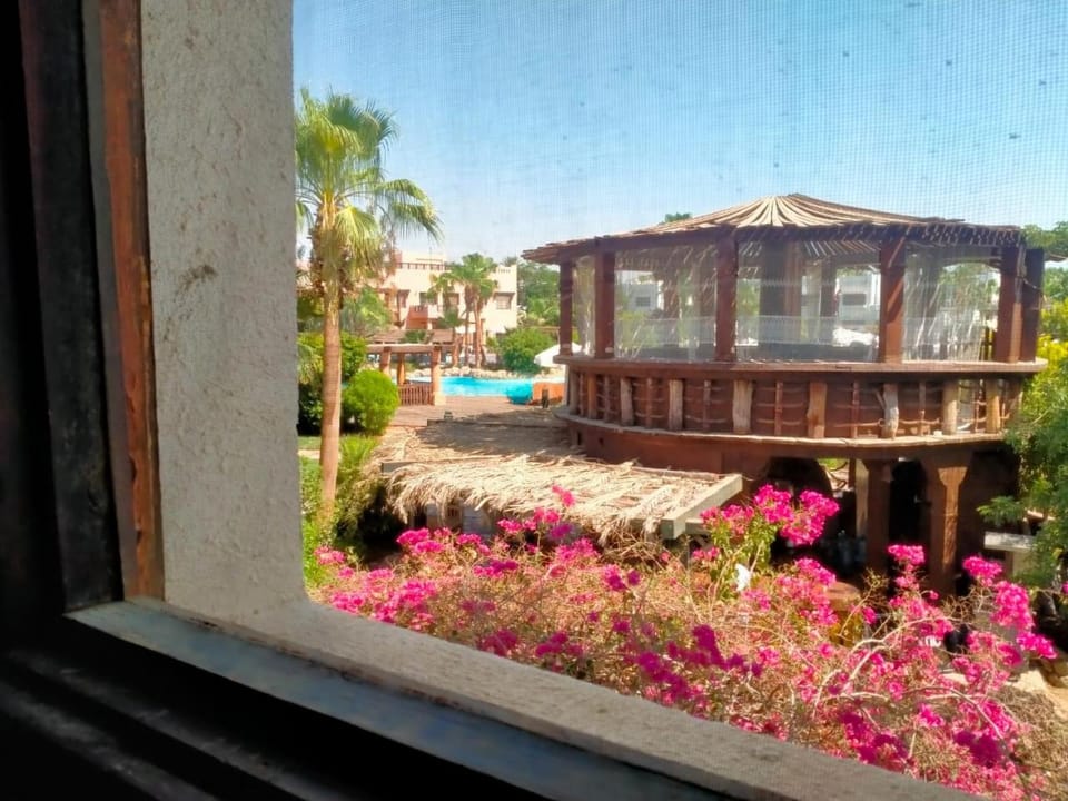 Delta Sharm Resort 202-34 Apartment in Sharm El-Sheikh