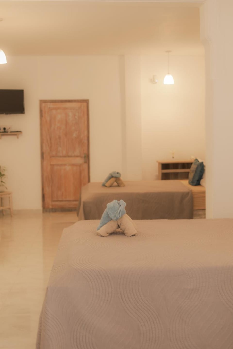 Villa Seshé - Central Stay Kandy Apartment in Kandy