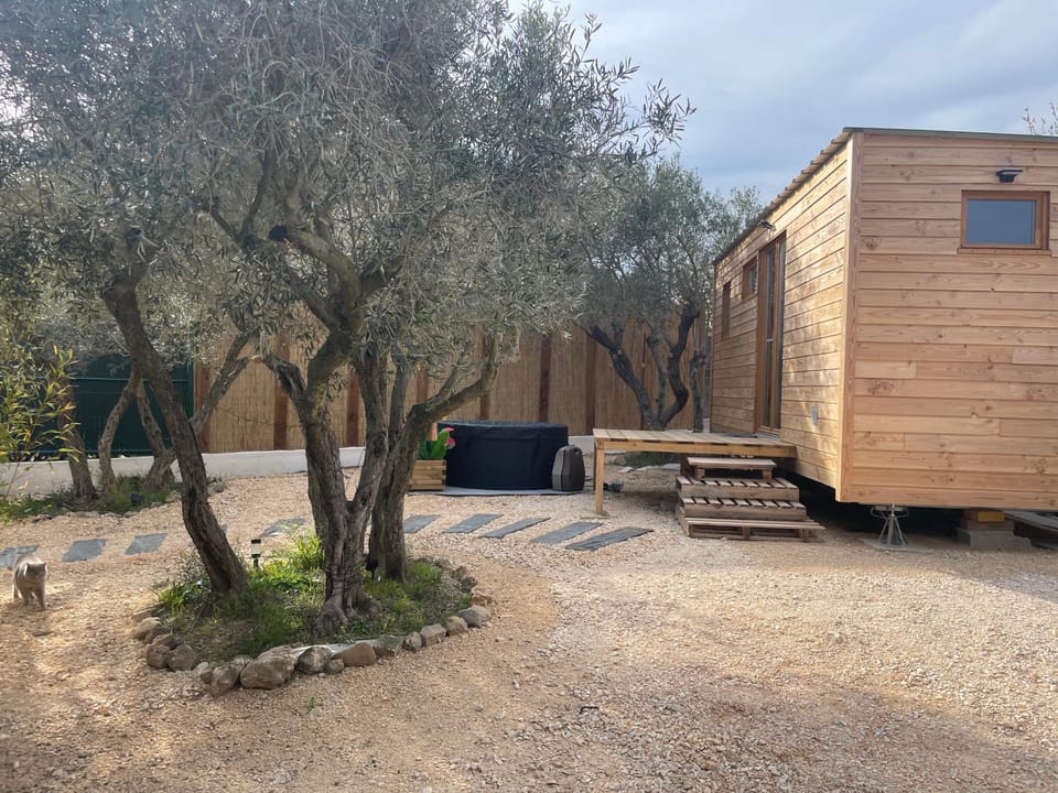 La Tiny House des Oliviers et son jacuzzi Apartment in Arles