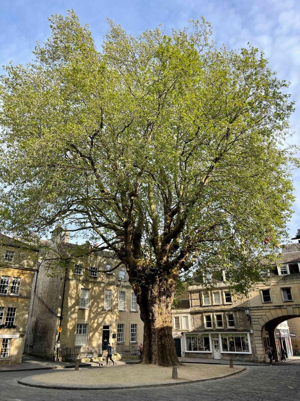Spring