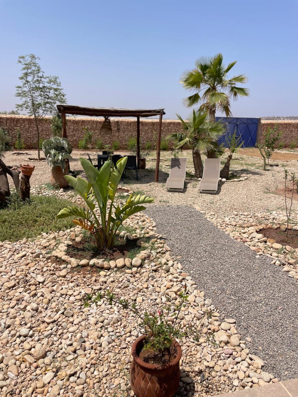 Garden view
