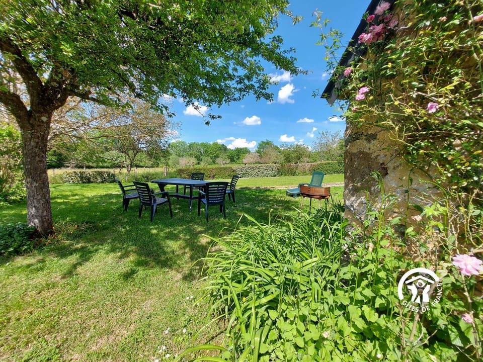 Spring, Day, Natural landscape, Garden, Dining area, Garden view
