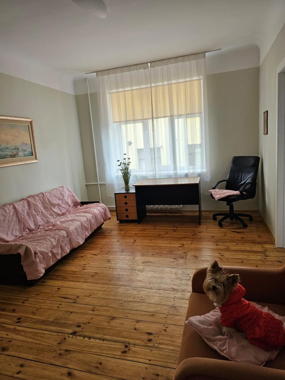Miera street Apartment in Riga