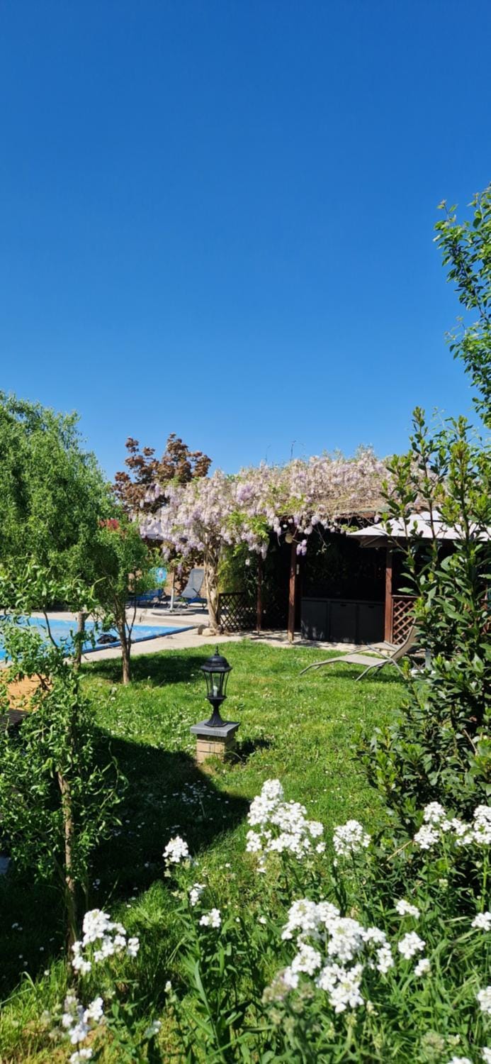Garden view