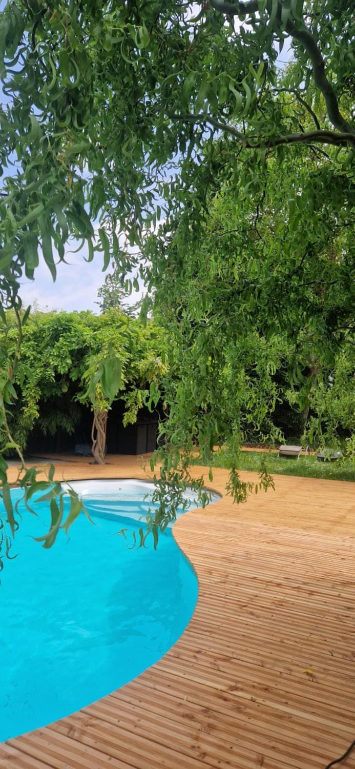 Garden, Swimming pool