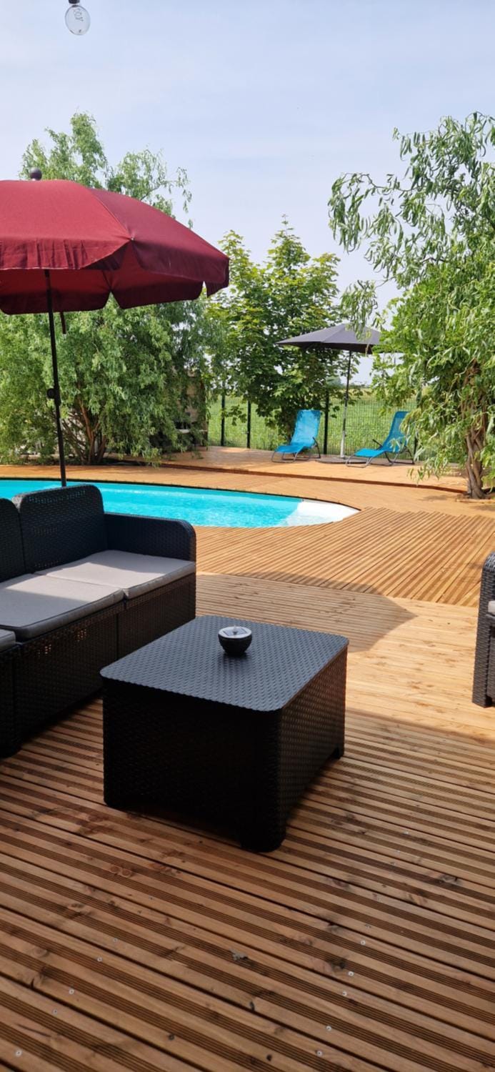 Garden, Garden view, Swimming pool, sunbed