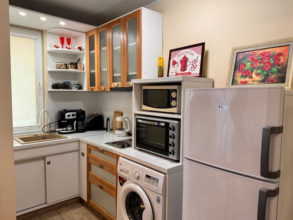 Kitchen or kitchenette, oven, stove, toaster, washing machine
