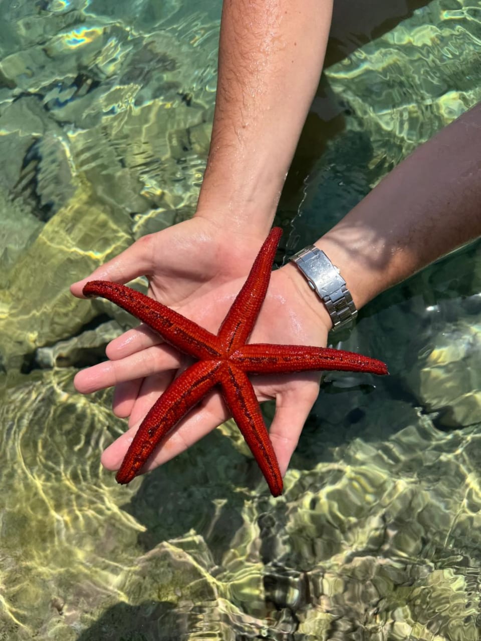 The Korčula Outlook - Bedrooms Vacation rental in Korčula