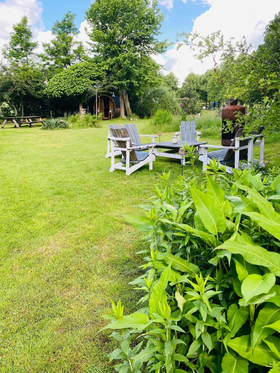 't Hof van Wespert Bed and Breakfast in Drenthe (province)
