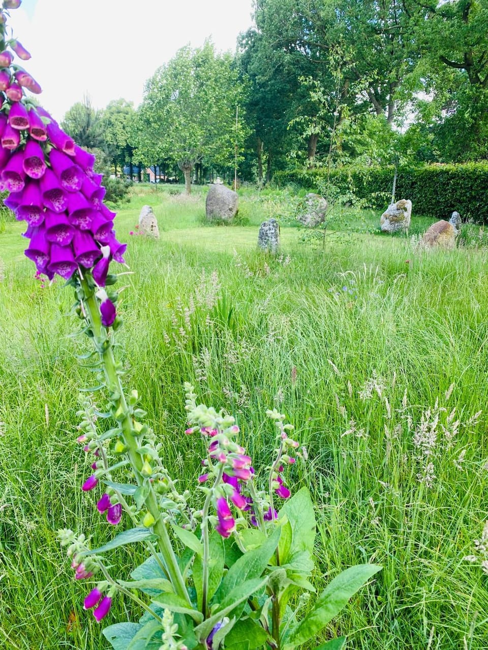 't Hof van Wespert Bed and Breakfast in Drenthe (province)