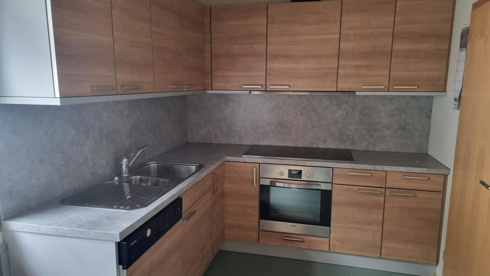 Kitchen or kitchenette, dishwasher, oven