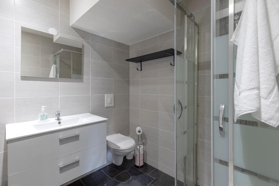 Shower, Toilet, Bathroom, towels