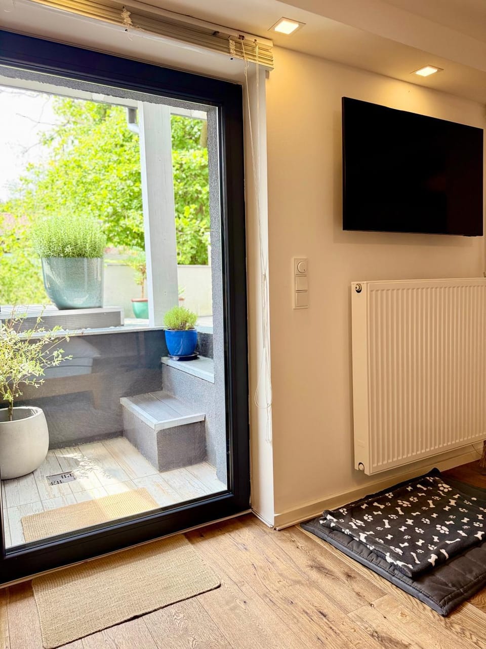 TV and multimedia