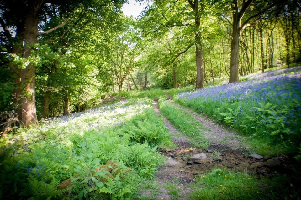 Secluded and self-contained Room with a View Apartment in Tintern