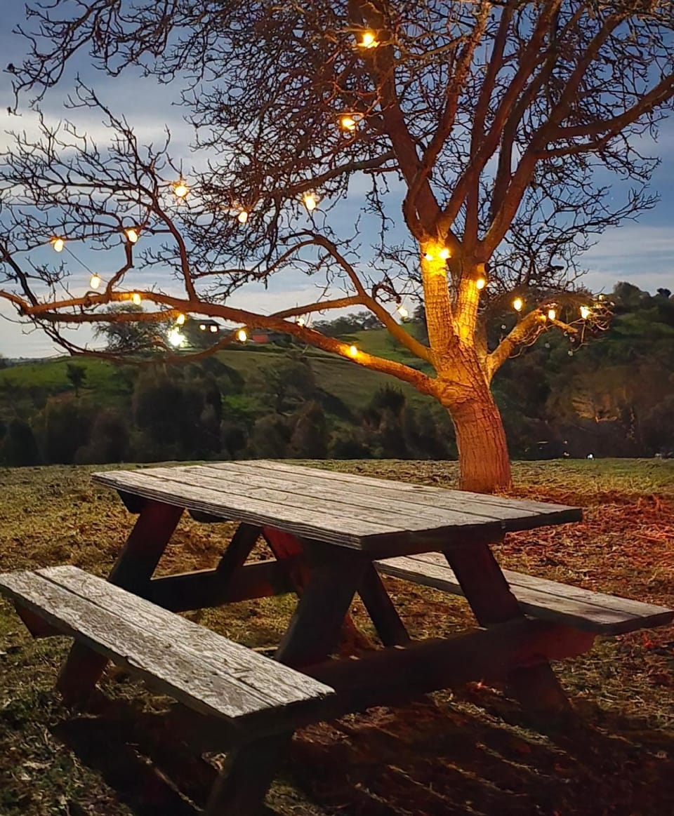 Whispering Wine House in Paso Robles