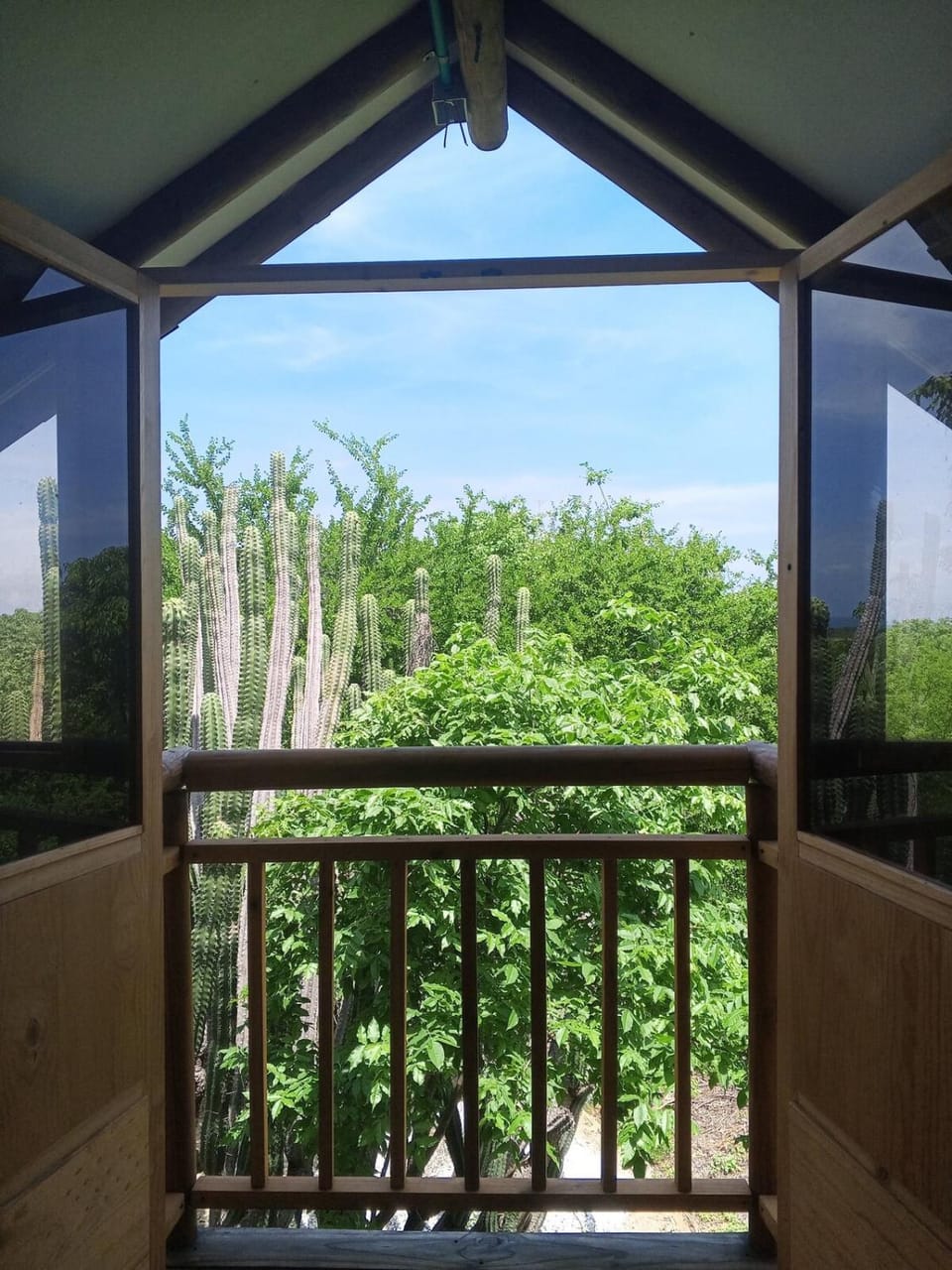 Natural landscape, Garden, Garden view