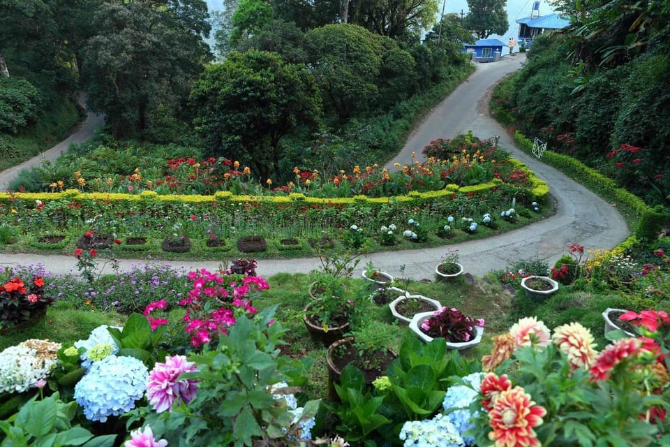 Spring, Garden
