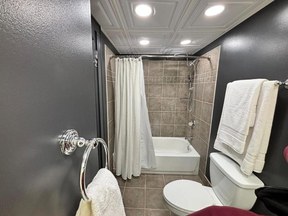 Downtown Studio with Full Kitchen and Bath Apartment in Indianapolis