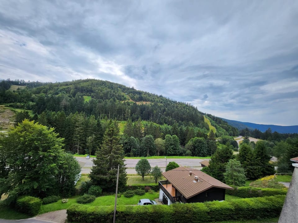 Mountain view